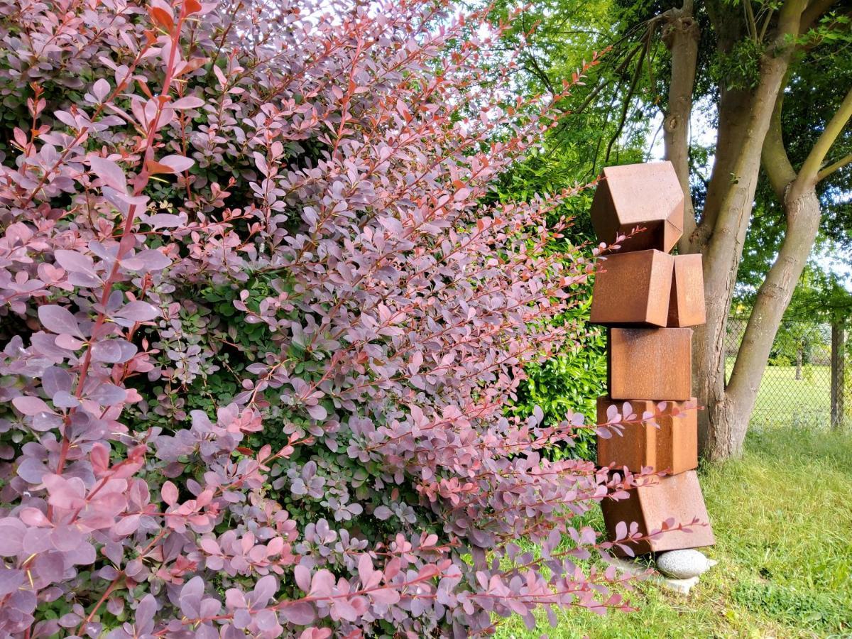 Gite Dans Parc De Sculptures - Gite "Pondichery" Port-Mort 외부 사진